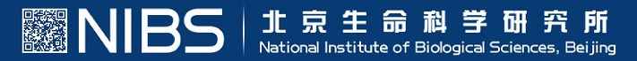 北京生命科學(xué)研究所