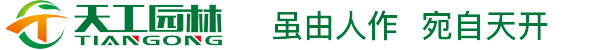 武漢綠化公司-武漢園林公司-武漢綠化養(yǎng)護(hù)-武漢私家花園設(shè)計-湖北天工園林景觀藝術(shù)工程有限公司