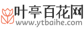 葉亭百花網(wǎng)